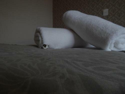 Hotel Jope