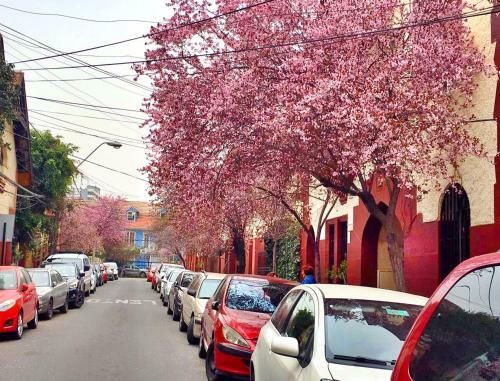 Tralkan B&B