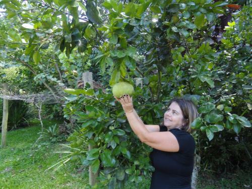 Bed & Breakfast Pousada Ch�cara Do Rio