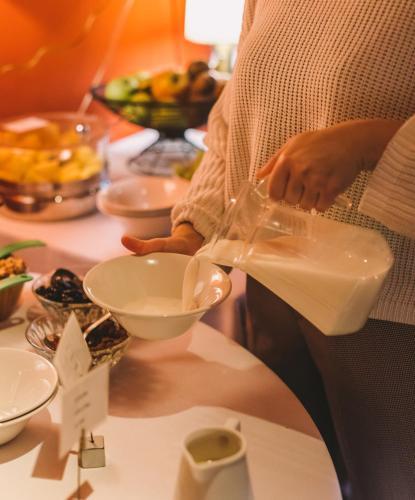 Hotel Banys Orientals