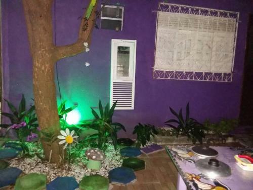 Hostel Margo