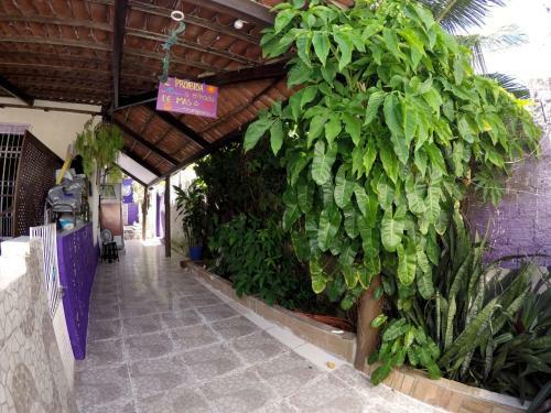 Hostel Margo