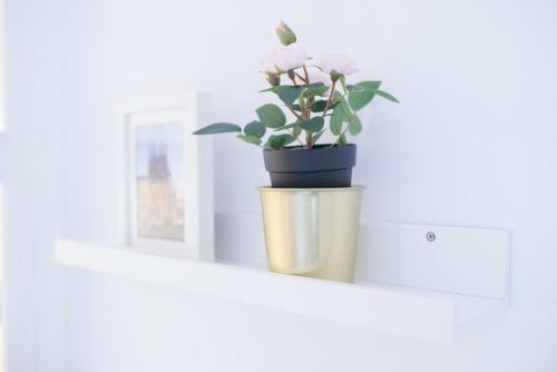 Apartamenting Barcelona