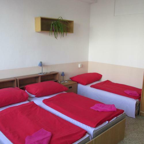 Hostel Modr�