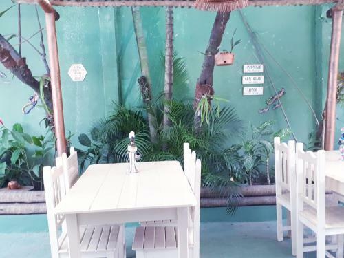 Hostal Pousada Do Cacau