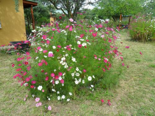 Lodge Caba�as Mandala