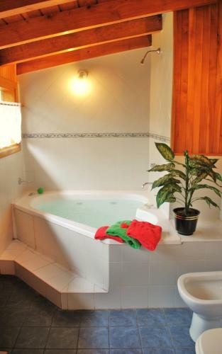 Apart Hotel Del Pellin