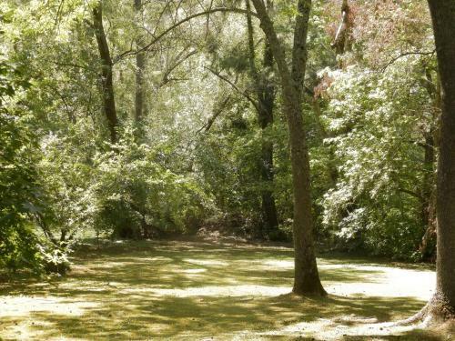 Lodge Isla Chamam�