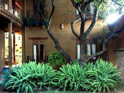 Hotel Posada Yolihuani