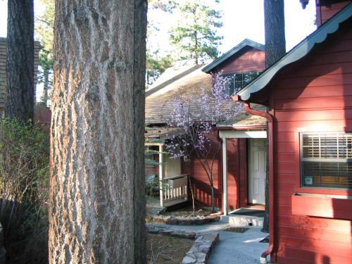 Cozy Hollow Lodge