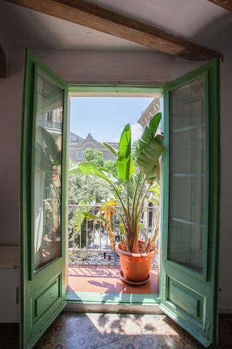 Ramblas Apartments