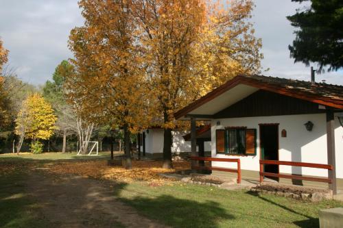 Lodge Caba�as Alpendorf