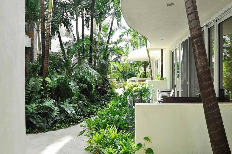 Apartamentos Mamitas Village - Mv202