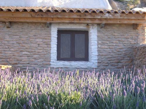 Apartamento Cuevas Alcobas