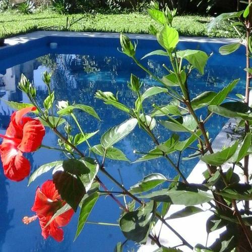 Bed & Breakfast Arrullo De Luna