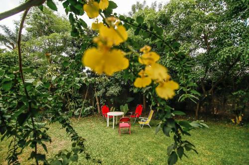 Bed & Breakfast Arrullo De Luna