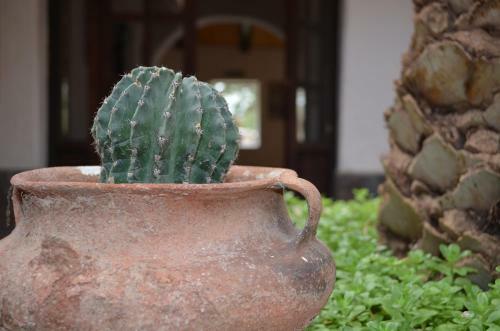 Agroturismo Finca El Carmen