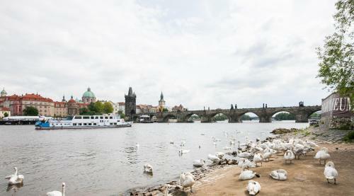 Prague Center Apartments