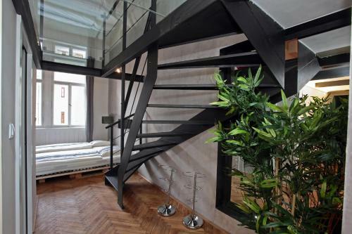 Apartment House - The Modern Flat