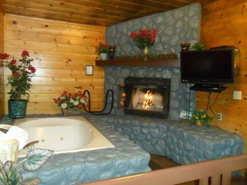 Lodge Big Bear Manor Spa Cabins