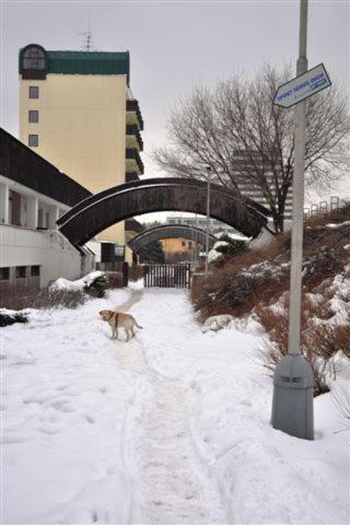 Oaza Hotel