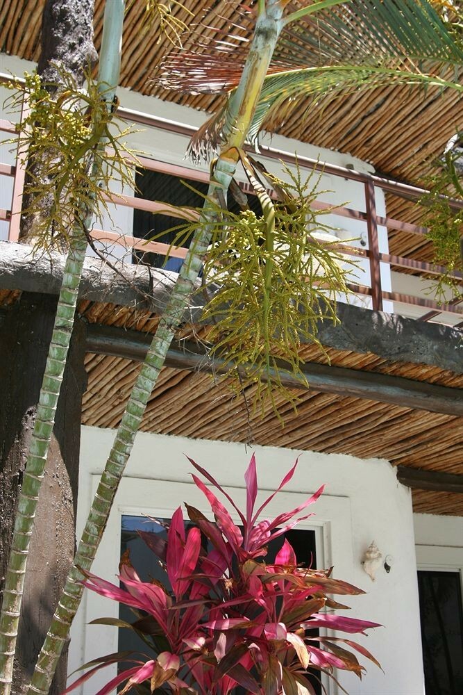 Hotel Maya Del Carmen