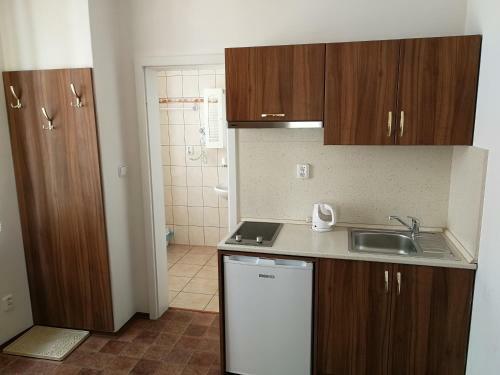 Apartments U ?vejk?