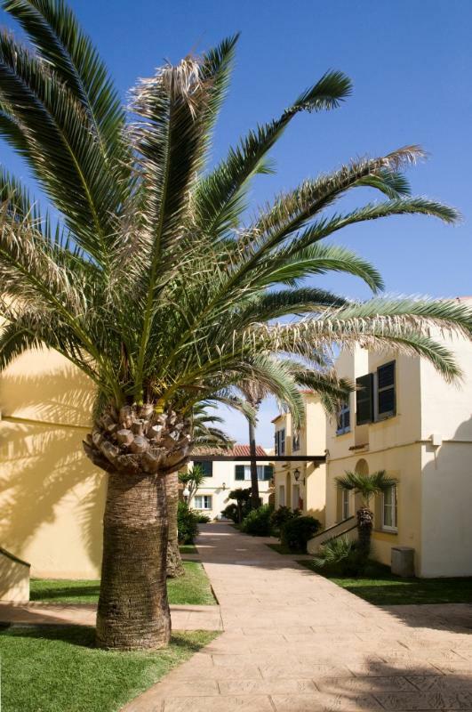 Aparthotel Globales Binimar