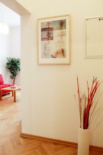 Apartamentos Residence B�lkova