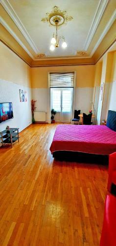 Apartments Comfort