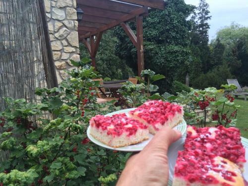 Hostal Pension Karnet