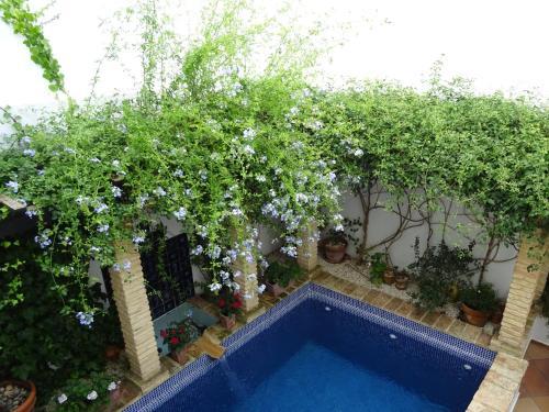 Hostal Casa La Loba