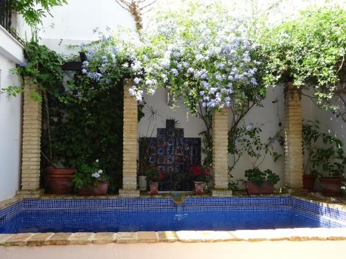 Hostal Casa La Loba