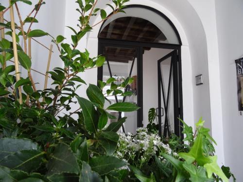 Hostal Casa La Loba