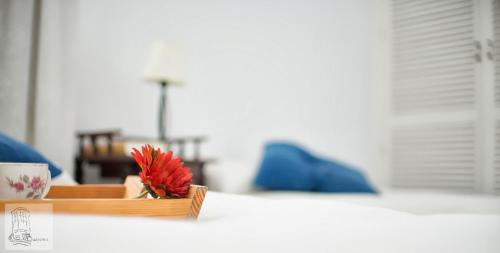 Apartamento Los Balcones