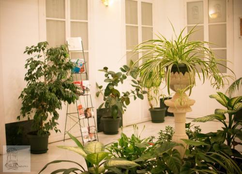 Apartamento Los Balcones