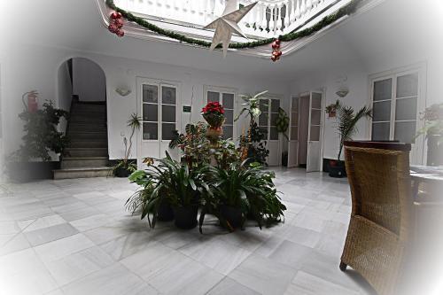 Apartamento Los Balcones
