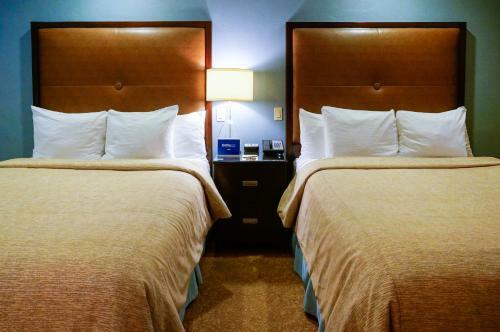 Posada Blue Dolphin Inn
