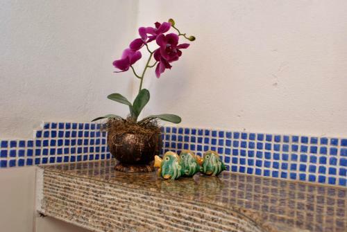 Apartamento Flat Barra