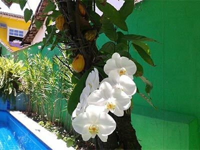 Hostal Magnu�s Pousada