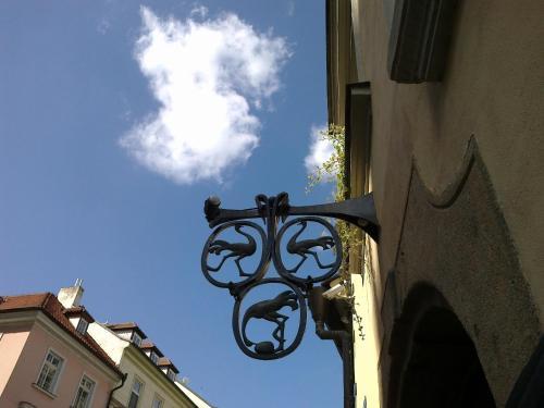 Hotel U 3 Pstrosu