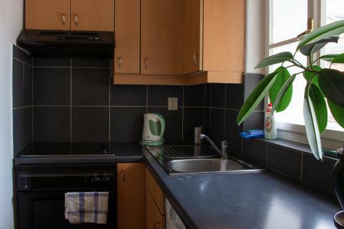 Apartamentos Residence Vla?sk�