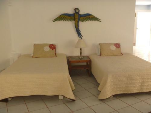Apartamento Whale Hill