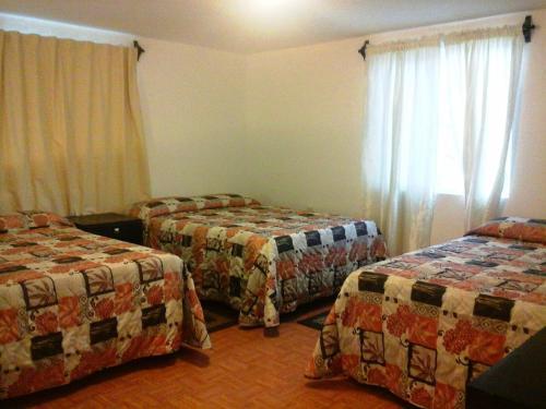 Apartamento Whale Hill
