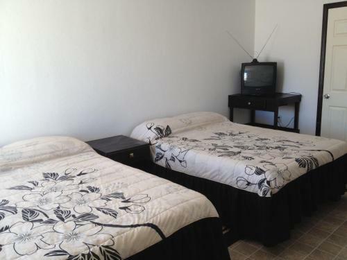 Apartamento Whale Hill