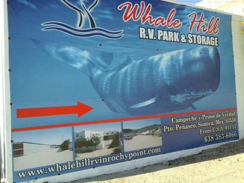 Apartamento Whale Hill