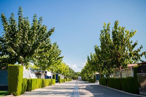 Camping Raco