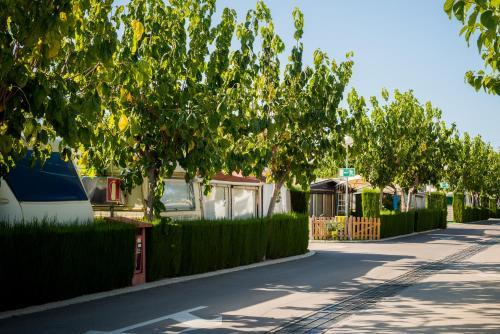 Camping Raco
