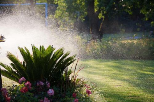 Park Hotel Junior