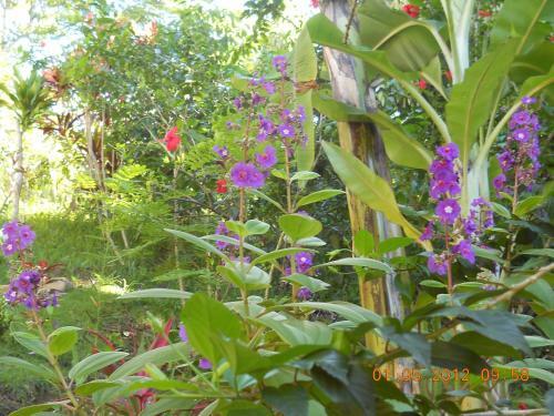 Hostal Pousada Villa-bahia